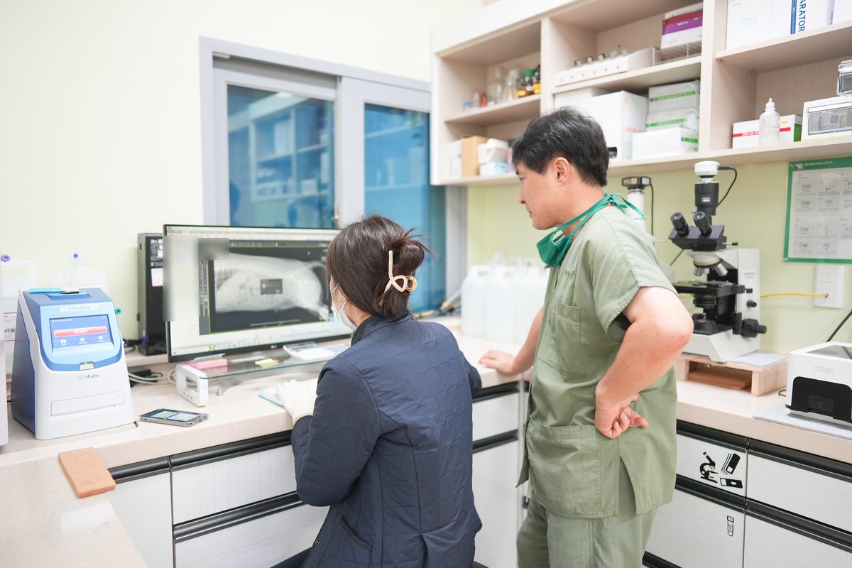 의료진이 모니터로 엑스레이 영상을 함께 보는 모습