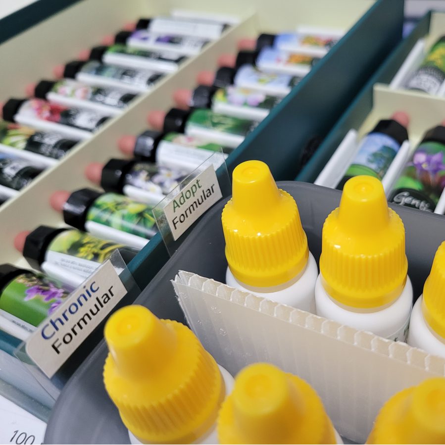 여러 병의 배치플라워가 나란히 놓인 모습